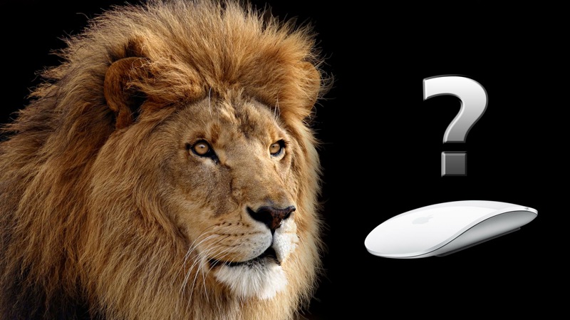 Apple Mac OS X Lion wallpaper