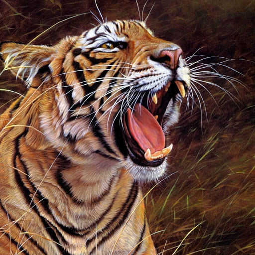 Hd-134703-ascw134703