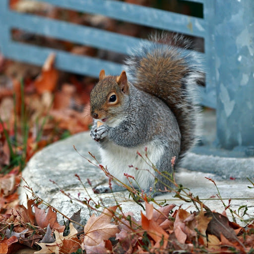 Hd-141159-ascw141159