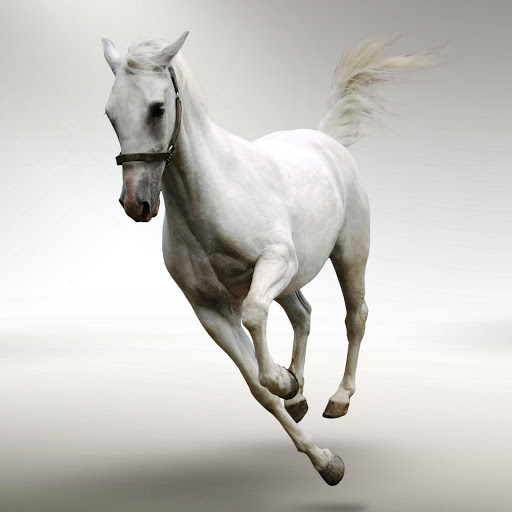 Hd-145862-ascw145862