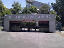 Blundstone Arena East