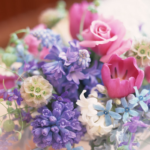 Hd-165813-ascw165813