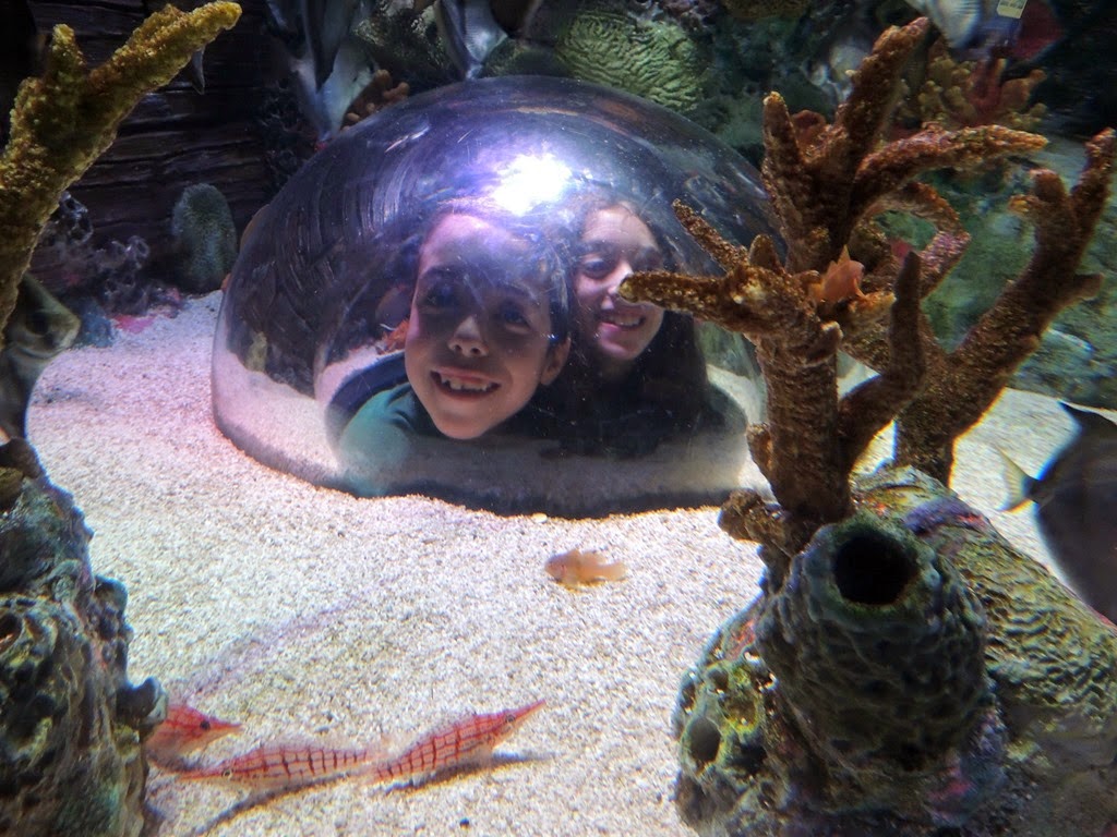 [DSCN1363%255B3%255D.jpg]