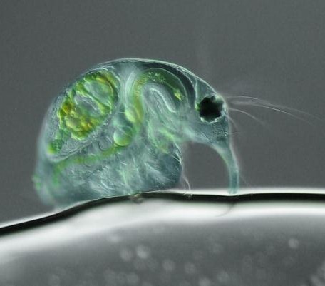 [e91d95951f78a0d20a468dcbe92_prev%255B4%255D.jpg]