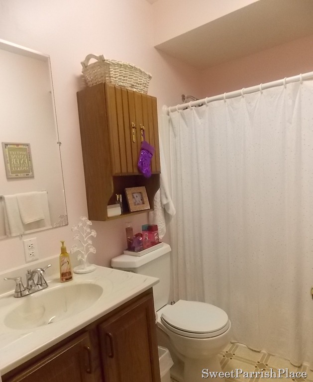 [delaney%2520bathroom%255B2%255D.jpg]