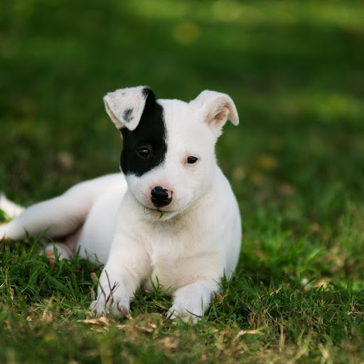 Hd-181864-ascw181864