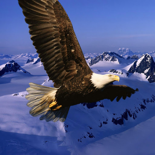 Hd-163549-ascw163549