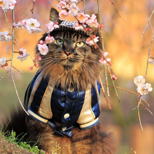 Hd-163044-ascw163044