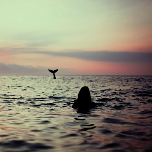 Hd-179537-ascw179537