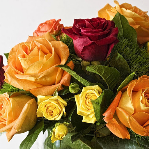 Hd-177911-ascw177911