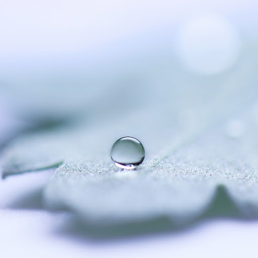 Hd-131776-ascw131776