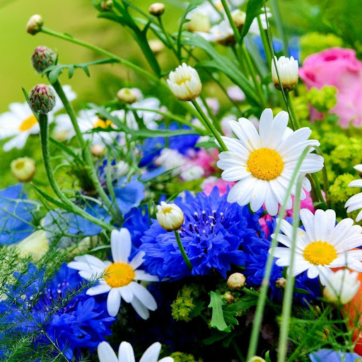 Hd-137970-ascw137970