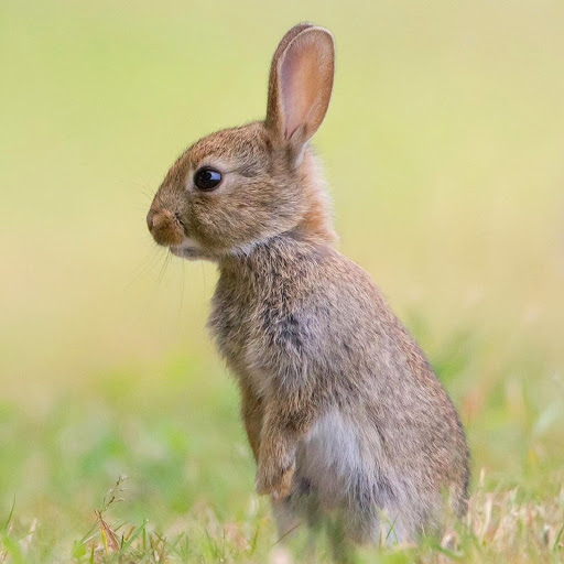 Hd-180382-ascw180382