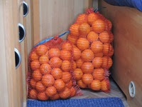 DSCN1131 DSCN1131