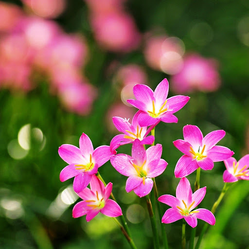 Hd-147467-ascw147467