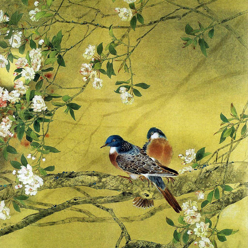 Hd-182507-ascw182507