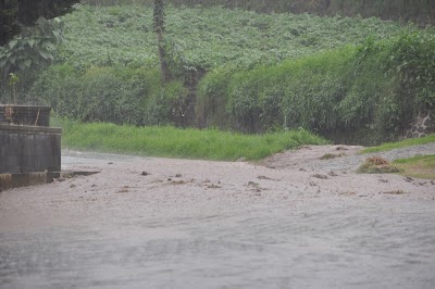 DSC_0569.JPG