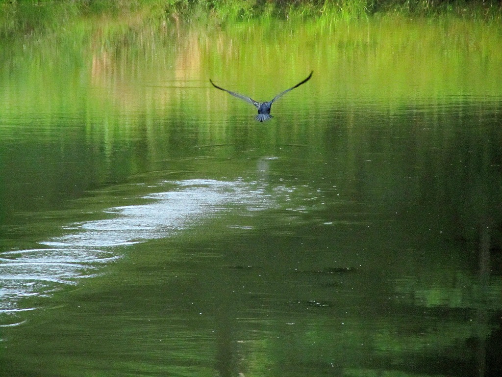 [IMG_0728%255B3%255D.jpg]