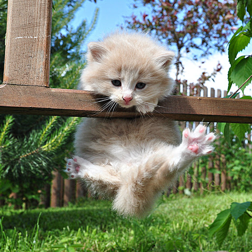 Hd-186305-ascw186305