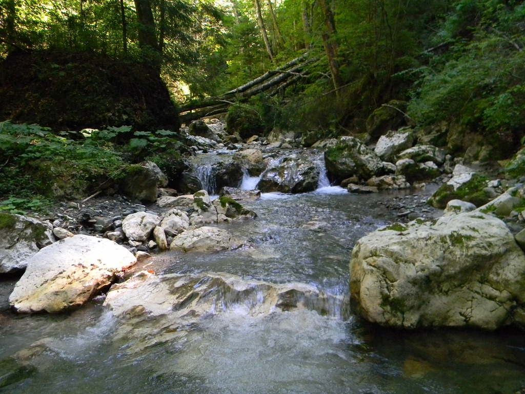 [DSCN51183.jpg]