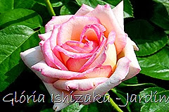 35 - Glória Ishizaka - Rosas do Jardim Botânico Nagai - Osaka