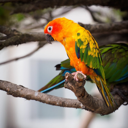 Hd-185754-ascw185754