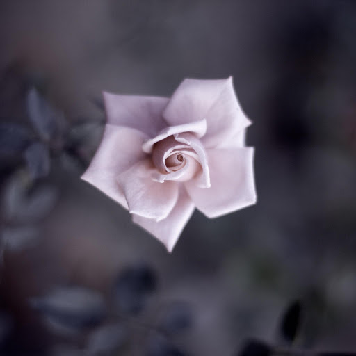 Hd-176994-ascw176994