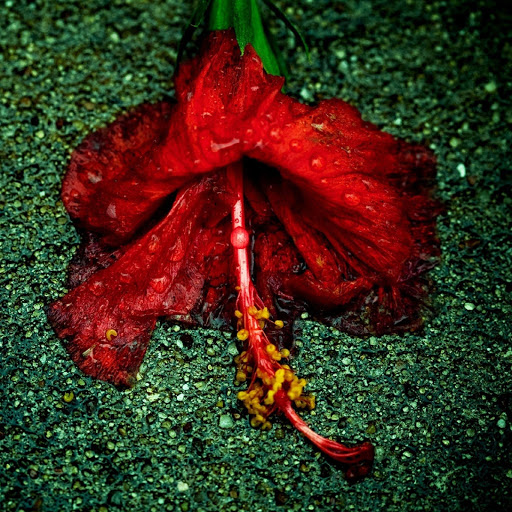 Hd-180222-ascw180222