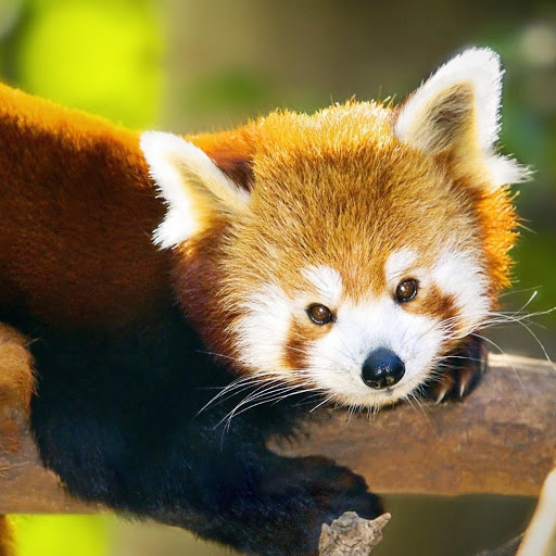 Hd-163238-ascw163238