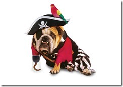 Pirate-Dog-Halloween-Costume
