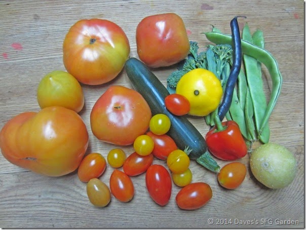 Tomatoes_etc