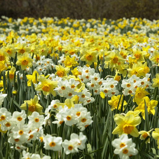 Hd-148414-ascw148414