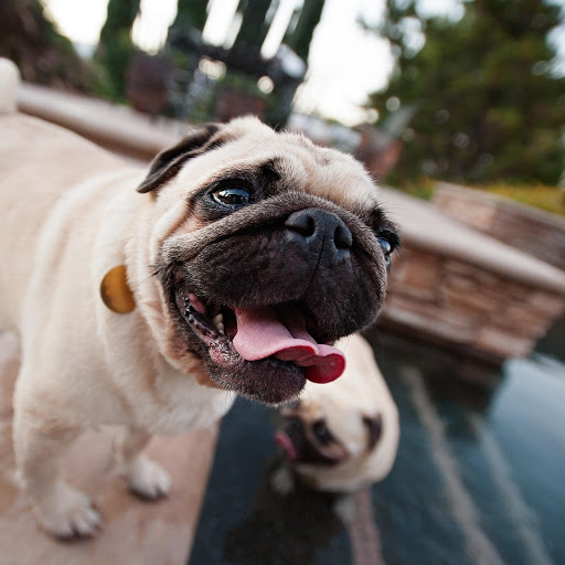 Hd-134685-ascw134685