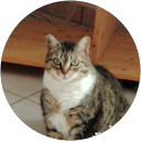 Image Google de marielle charvet