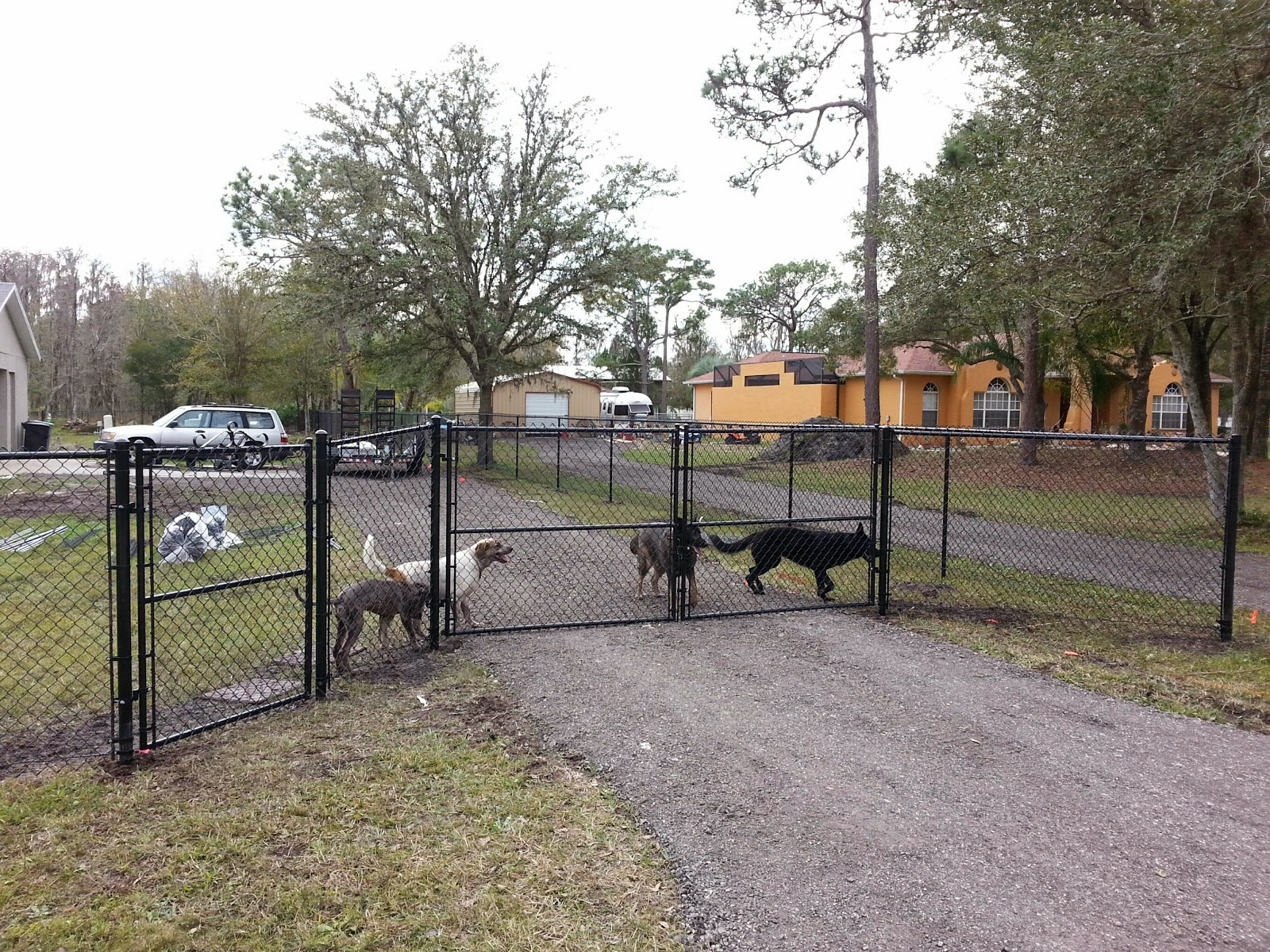 New Tampa Fence Inc Black Chain Link Fence Lutz FL new-tampa-fence-inc-black-chain-link-fence-lutz-fl