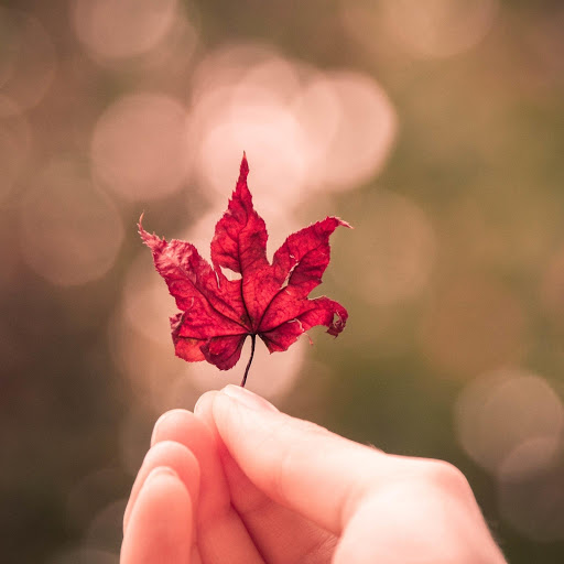 Hd-174820-ascw174820