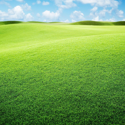 Hd-150075-ascw150075