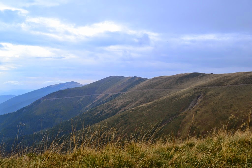 [DSC_10503.jpg]