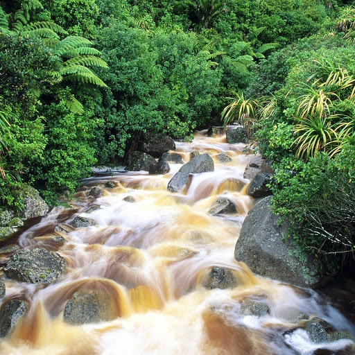 Hd-133157-ascw133157