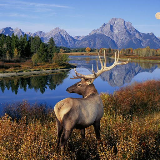 Hd-134878-ascw134878