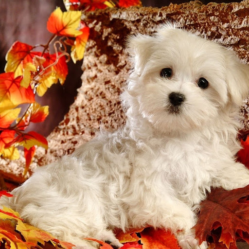 Hd-165522-ascw165522