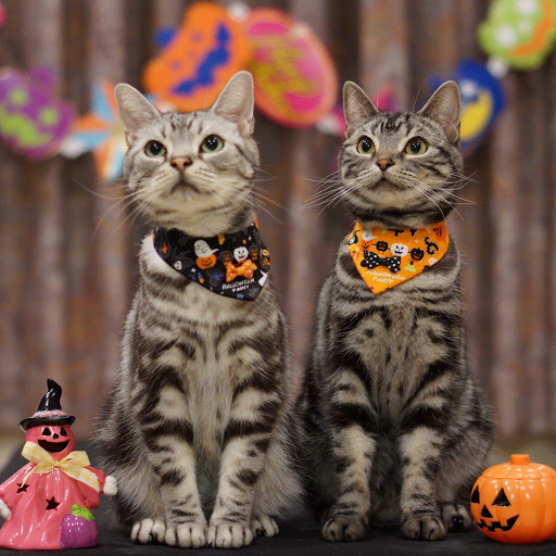 Hd-147612-ascw147612