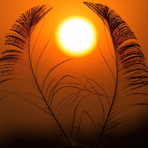 Hd-152503-ascw152503