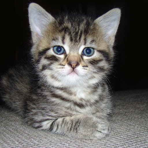 Hd-156958-ascw156958