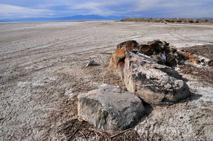 [DSC_0040%255B4%255D.jpg]