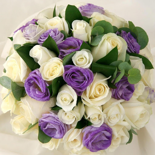 Hd-135638-ascw135638