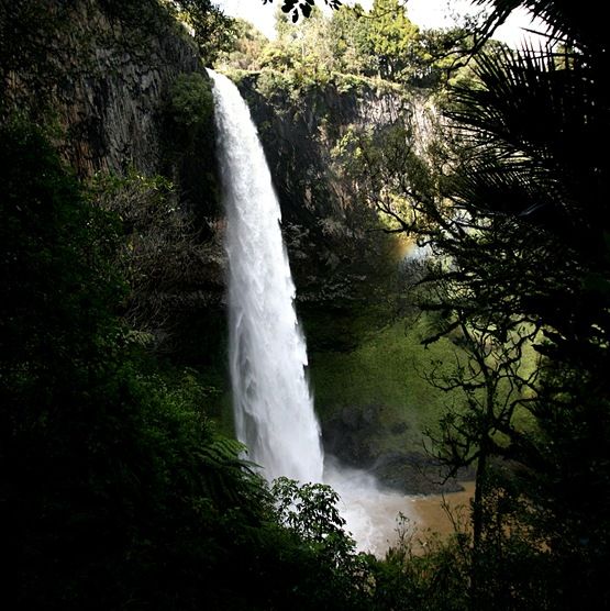 [Waterfall%2520bridal%2520veil%2520falls%2520New%2520Zealand%255B4%255D.jpg]