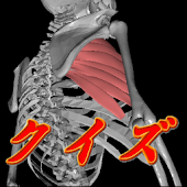 作業医療士 年収