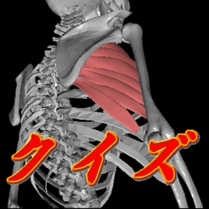 クイズ「解剖くん」 logo