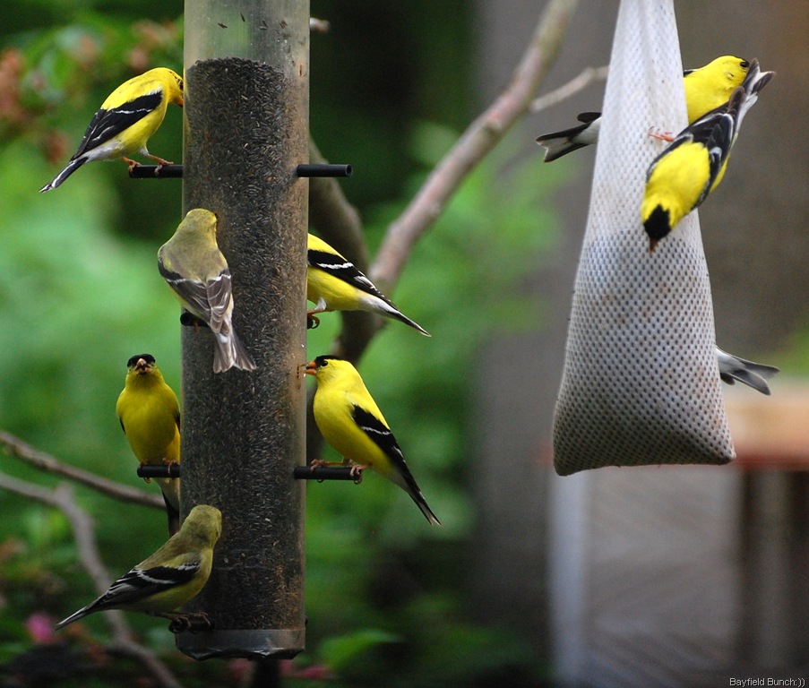 [DSC_3905%255B2%255D.jpg]